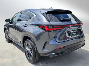 2024 Lexus NX Premium