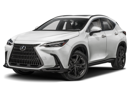 2025 Lexus NX Luxury