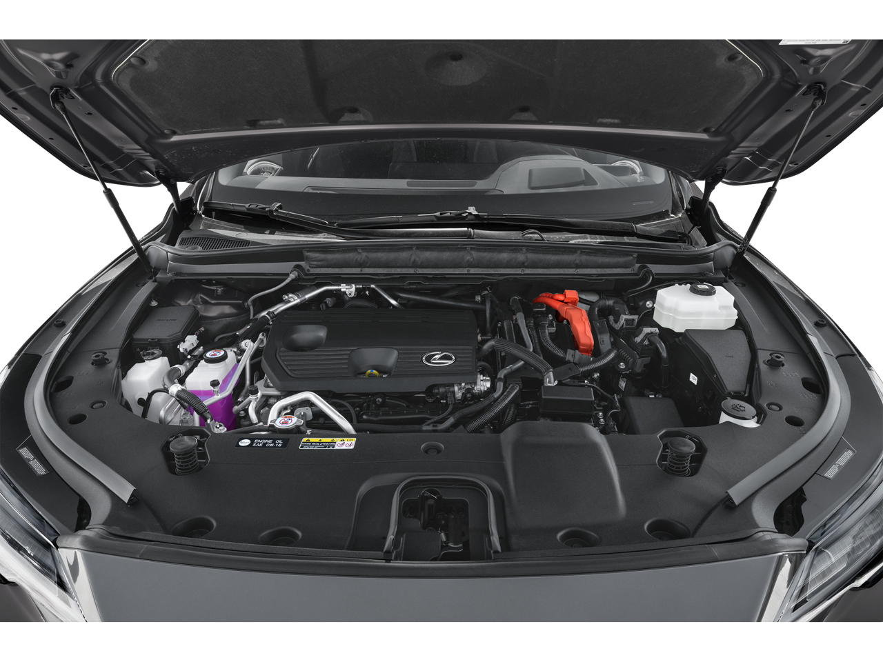 2025 Lexus RX Luxury