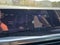 2026 Cadillac ESCALADE IQ Luxury