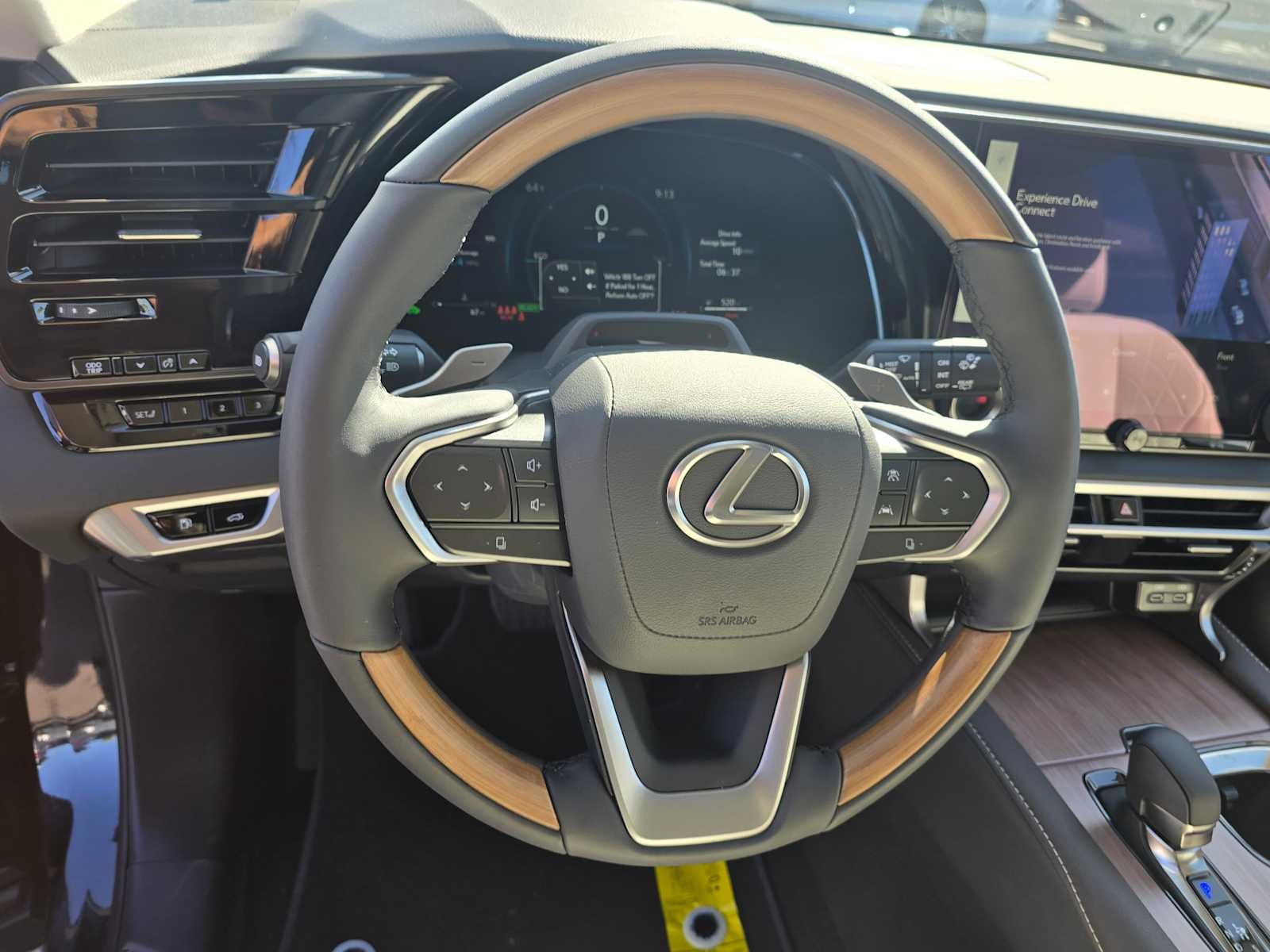 2025 Lexus RX Premium Plus