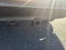 2026 Lexus RX 350h LUXURY