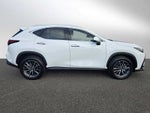 2026 Lexus NX Premium