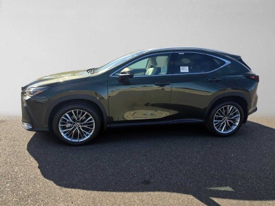 2026 Lexus NX 350 LUXURY AWD