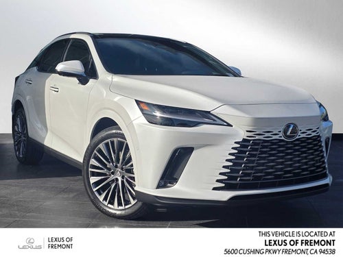 2025 Lexus RX Luxury