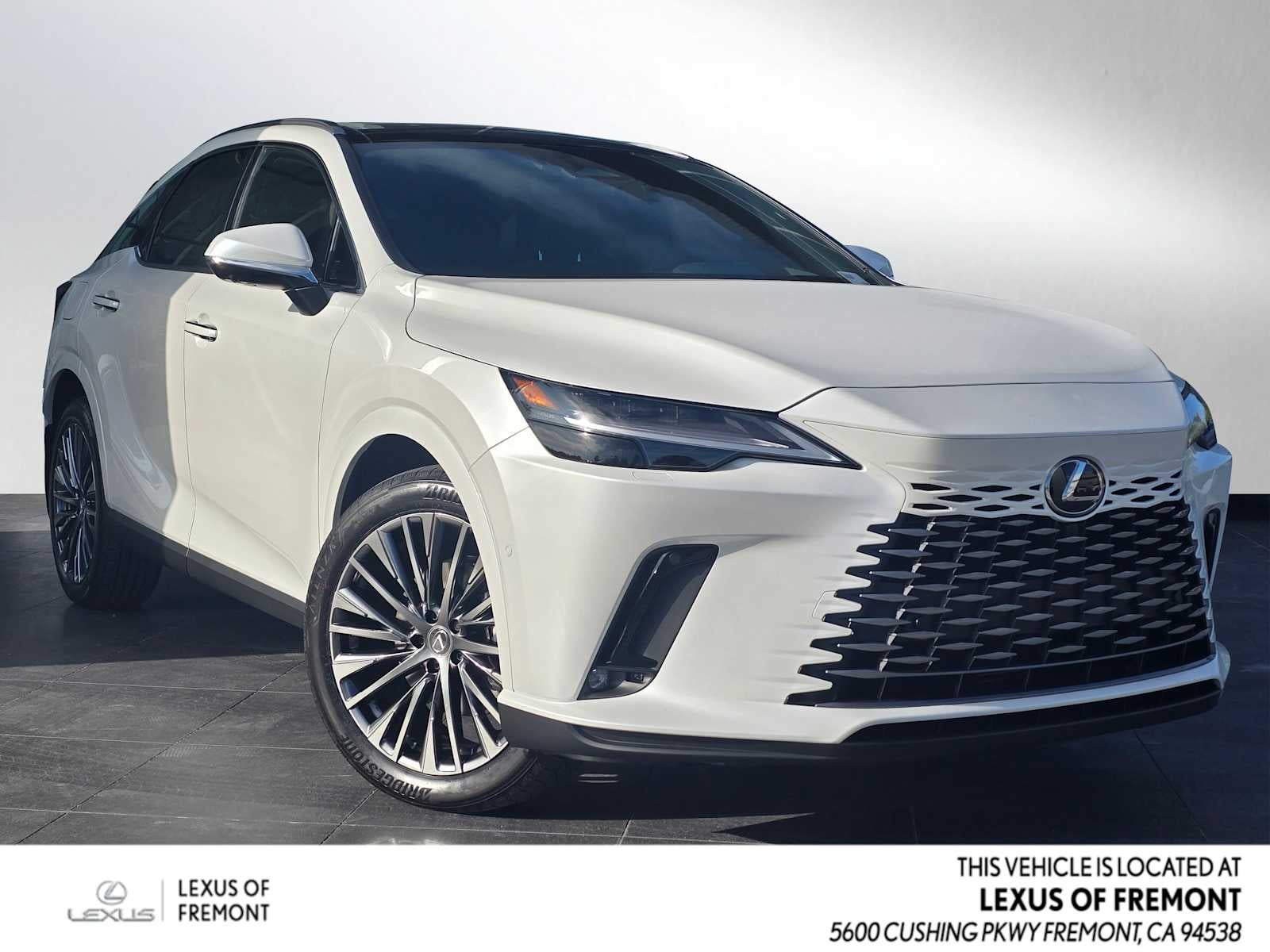 2025 Lexus RX Luxury