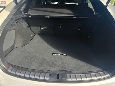 2025 Lexus RX Luxury