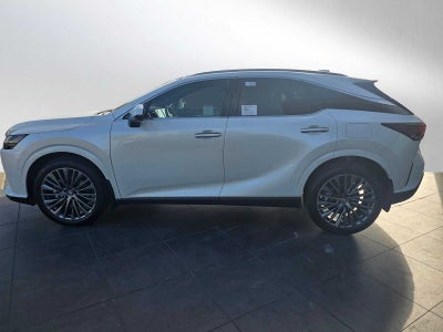 2025 Lexus RX Luxury