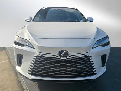 2025 Lexus RX Luxury