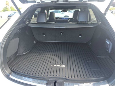 2025 Lexus RX Luxury