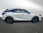 2025 Lexus RX Luxury