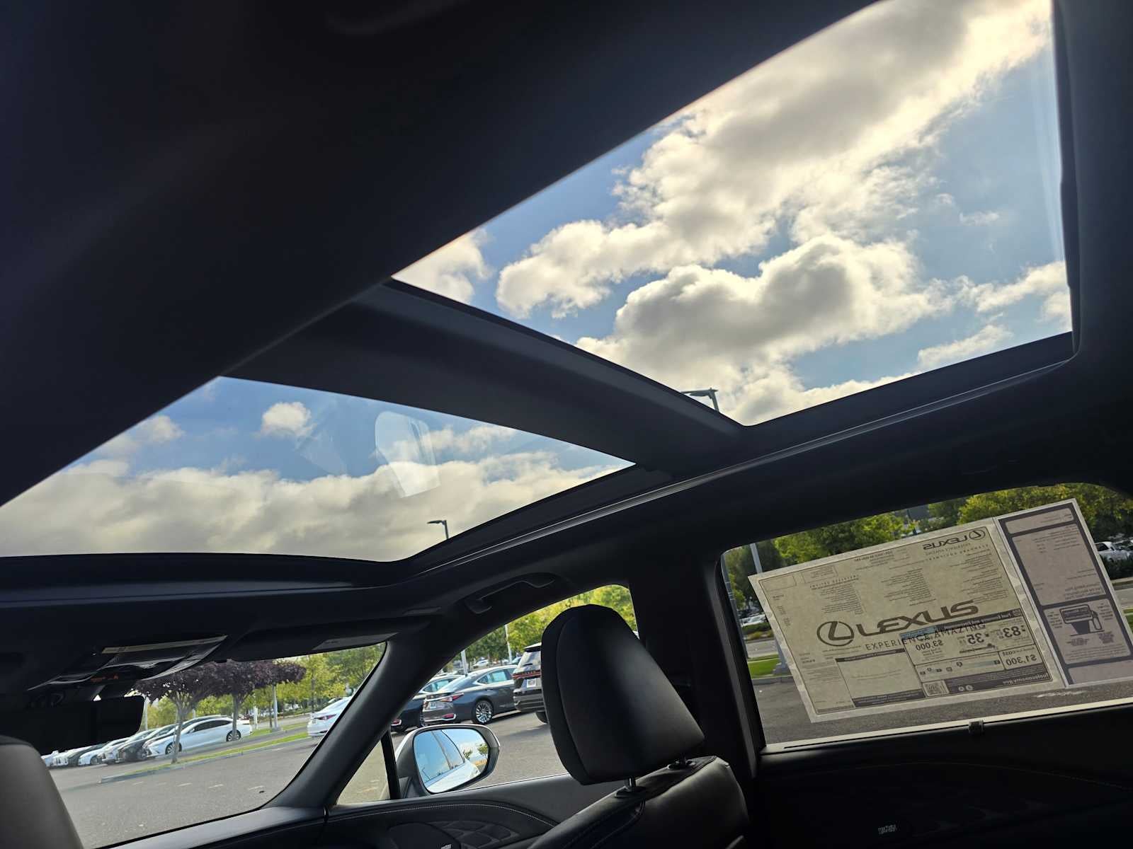 2025 Lexus RX Luxury