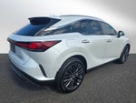 2025 Lexus RX Luxury