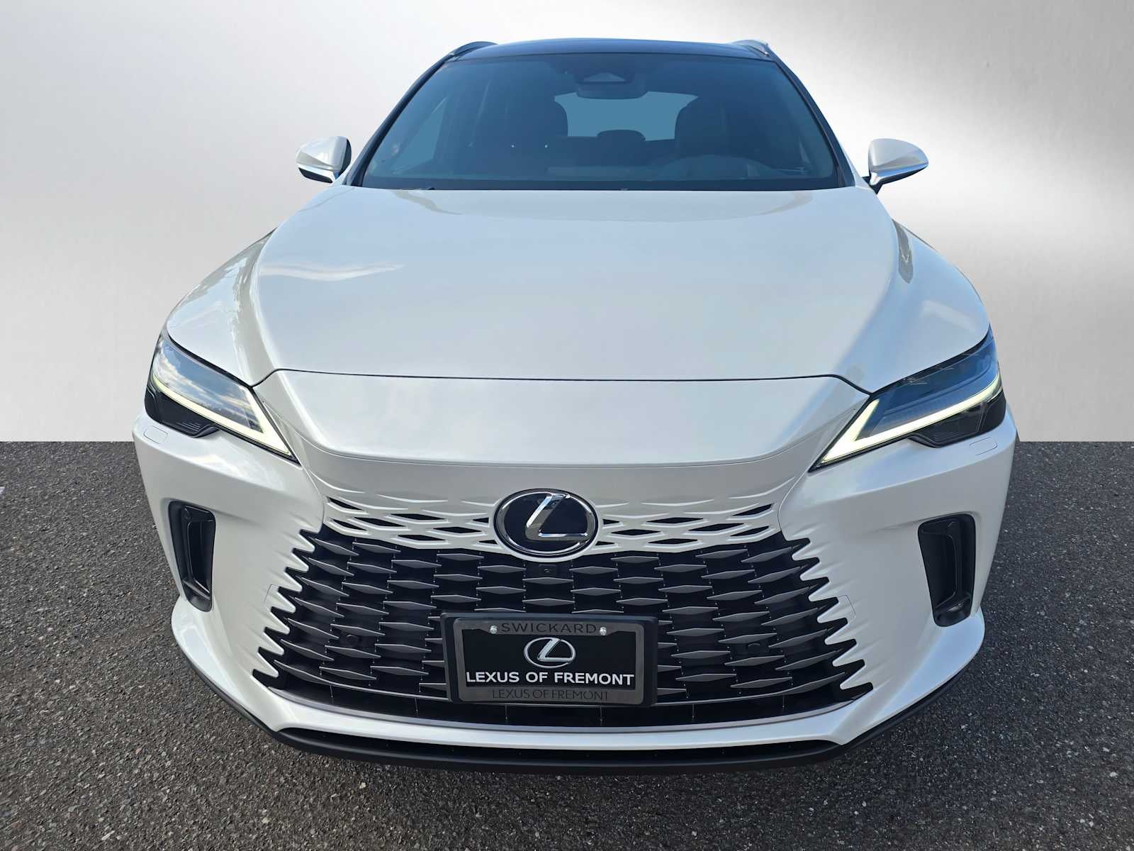 2025 Lexus RX Luxury