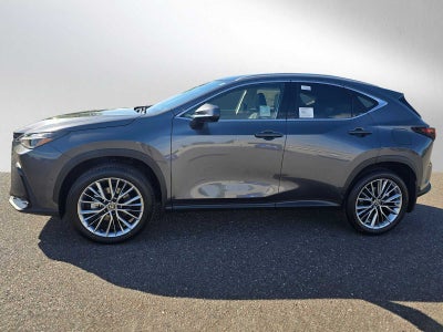 2026 Lexus NX 350h LUXURY AWD