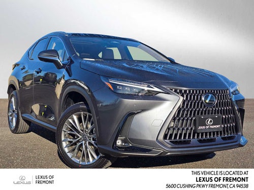 2026 Lexus NX Luxury
