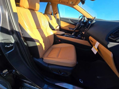 2026 Lexus NX Luxury