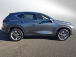 2026 Lexus NX Luxury