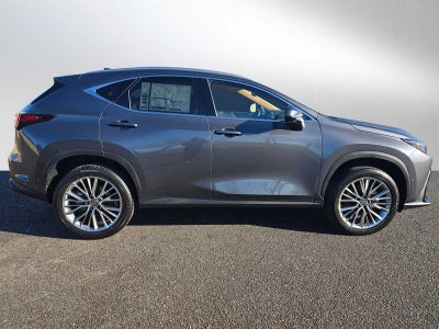 2026 Lexus NX Luxury