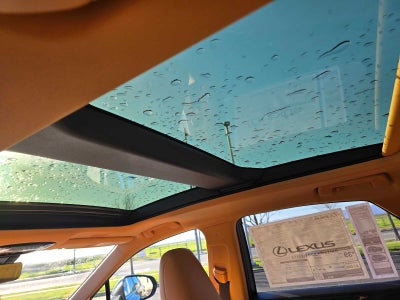 2026 Lexus NX Luxury