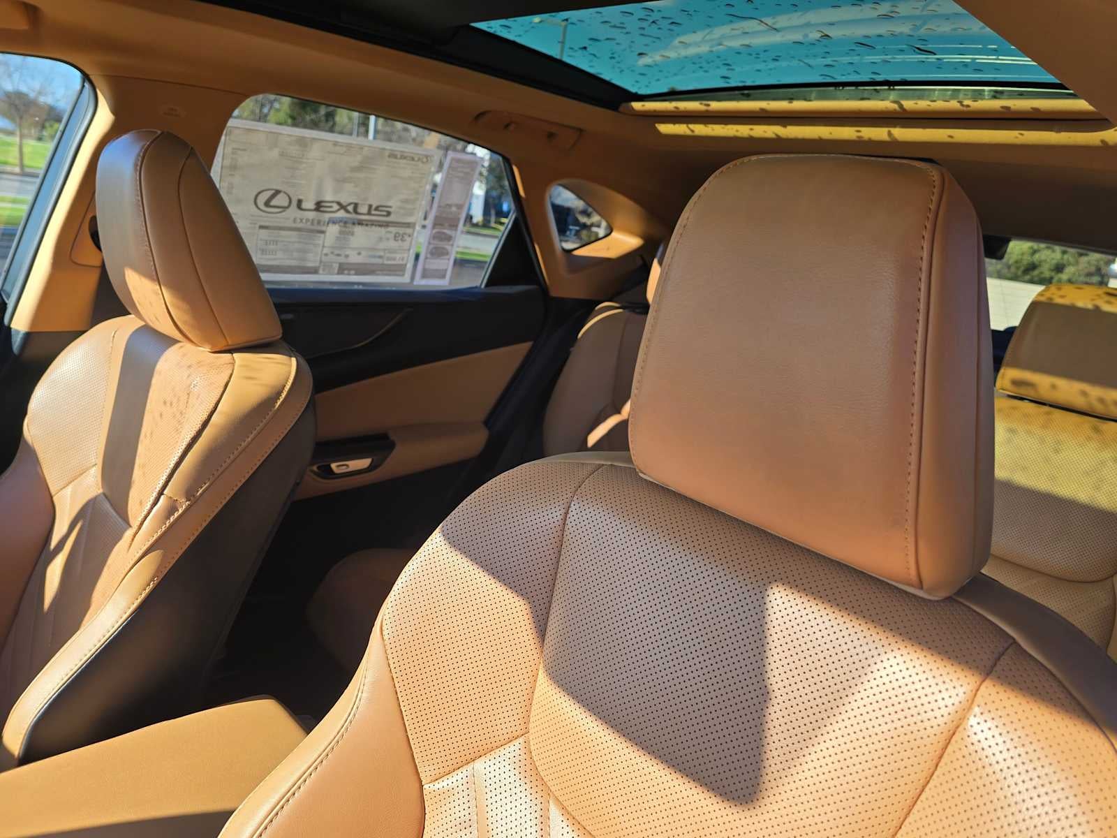 2026 Lexus NX Luxury