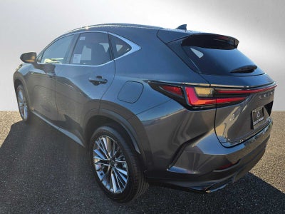 2026 Lexus NX Luxury