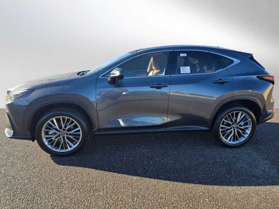 2026 Lexus NX Luxury