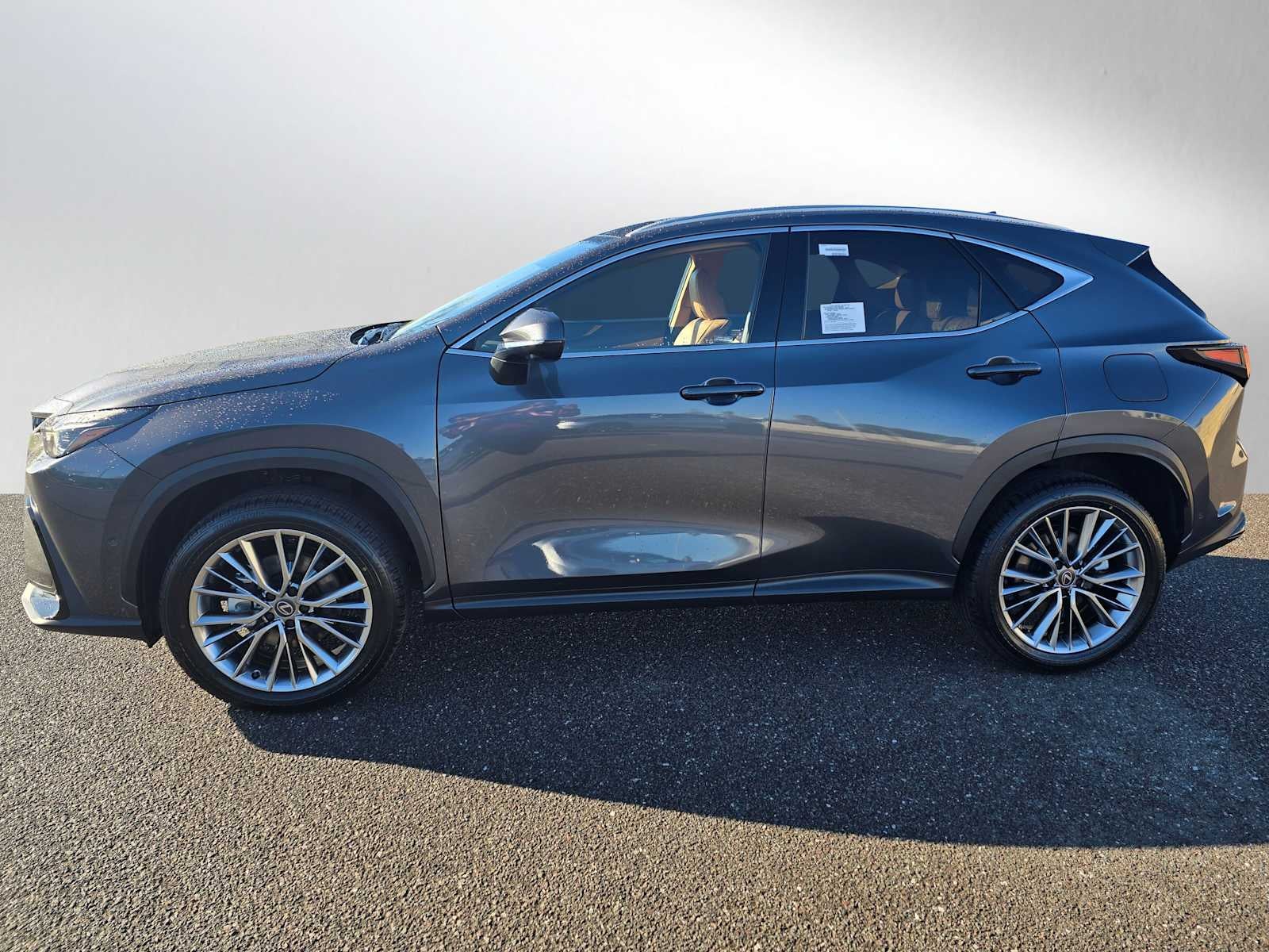 2026 Lexus NX Luxury
