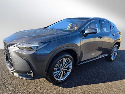 2026 Lexus NX Luxury