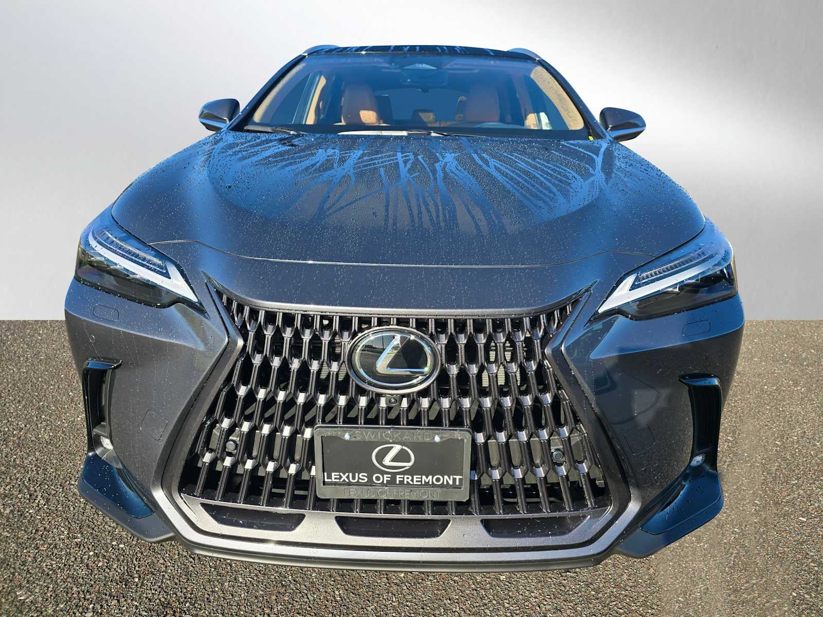 2026 Lexus NX Luxury