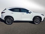 2026 Lexus NX Luxury