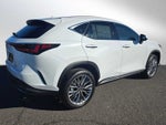 2026 Lexus NX Luxury