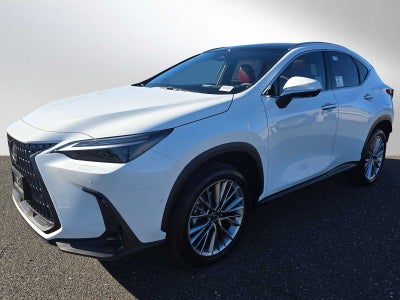 2026 Lexus NX Luxury