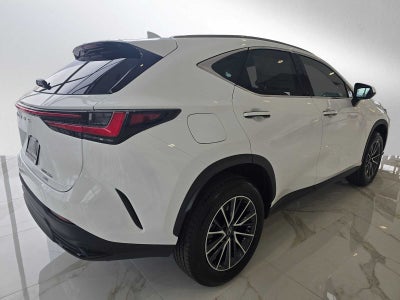 2026 Lexus NX Premium