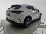 2026 Lexus NX 450h PREMIUM PLUS AWD