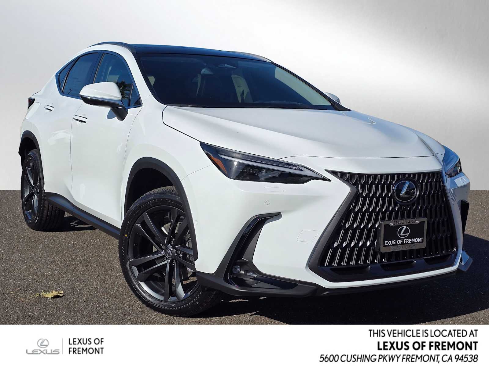 2026 Lexus NX Luxury