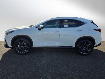2026 Lexus NX Luxury