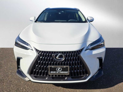 2026 Lexus NX Luxury