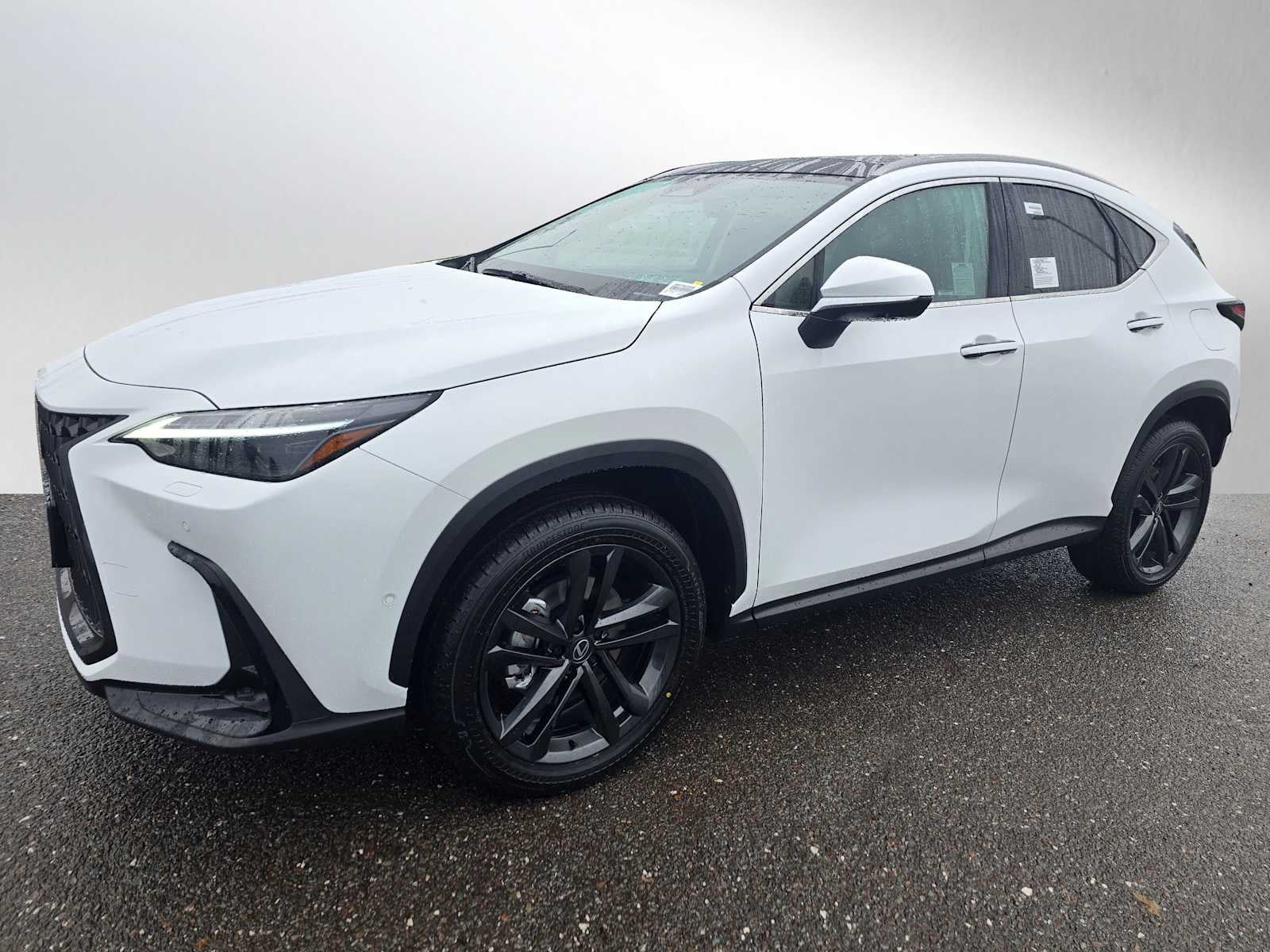 2026 Lexus NX 450h PLUS LUXURY AWD