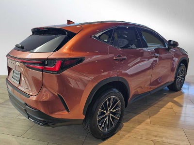 2026 Lexus NX 350 AWD