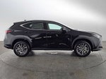 2026 Lexus NX 350h Premium