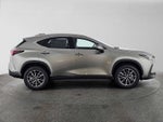 2026 Lexus NX 350h PREMIUM
