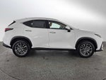 2026 Lexus NX 350h PREMIUM