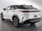 2025 Lexus RZ 300e RZ 300e Luxury