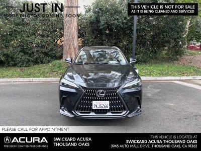2024 Lexus NX 350 NX 350