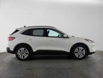 2021 Ford Escape SEL Hybrid