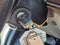 2025 Ford Transit Cargo Van T-250 130" Low Rf 9070 GVWR RWD