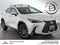 2025 Lexus NX 250 NX 250