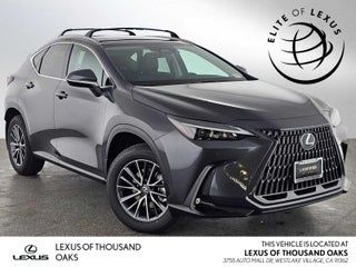 2025 Lexus NX 250 NX 250