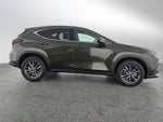 2026 Lexus NX NX 350
